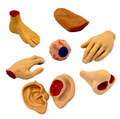 2" Capsule Fill — TPR Body Parts (250pc Box)